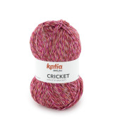 Cricket