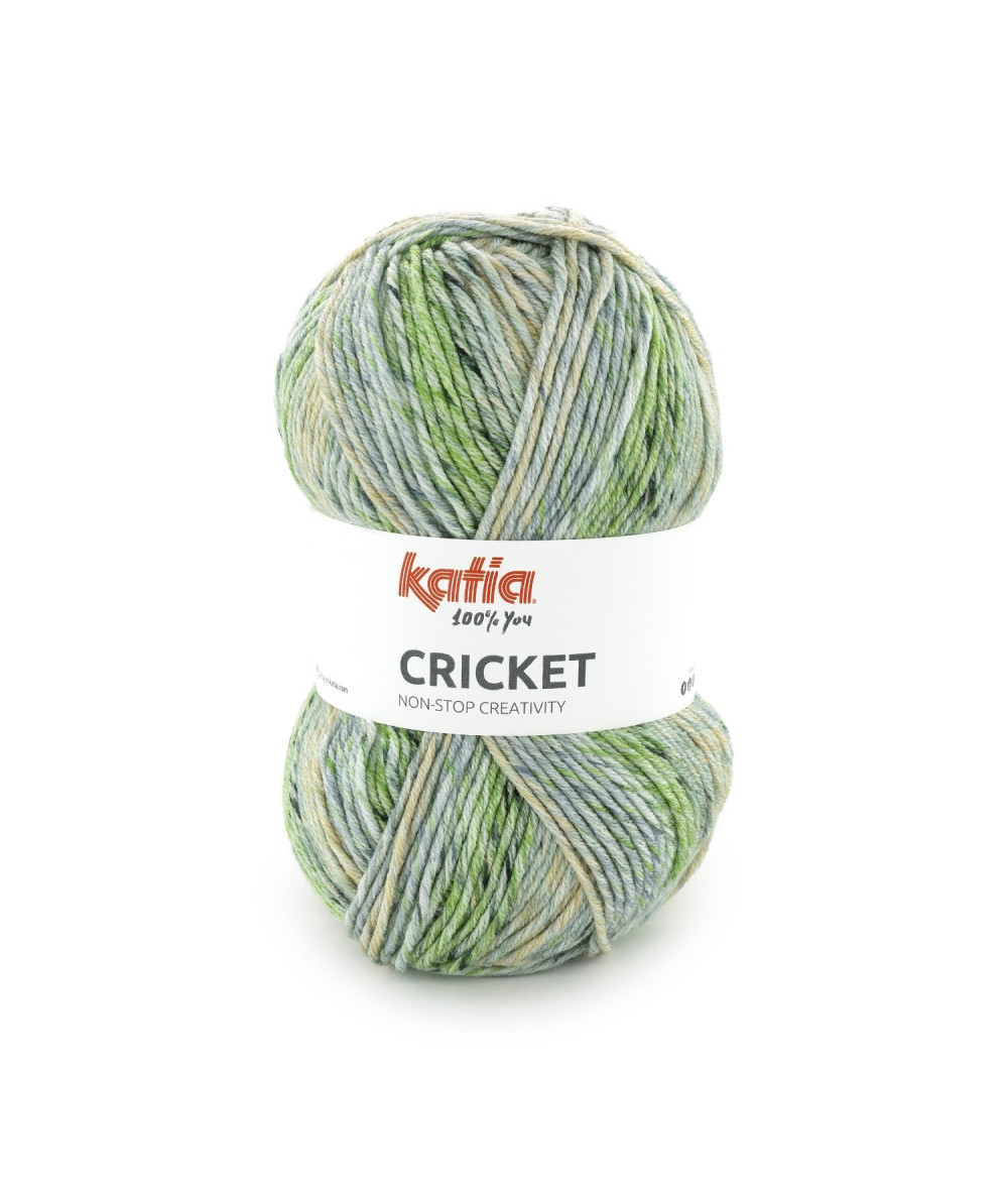 Cricket